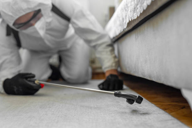 Professional Wasp Control technician working in Peoria Heights, IL