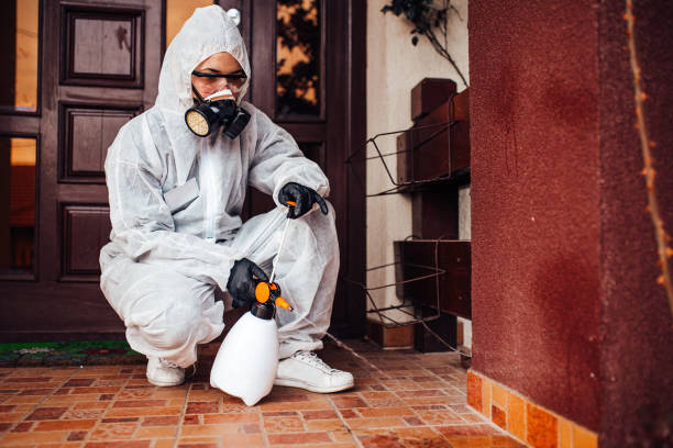 Reliable Emergency Pest Control contractor in Peoria Heights, IL by Nex Pest Control
