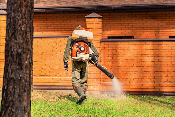 Trusted Mosquito Control service in Peoria Heights, IL - Nex Pest Control